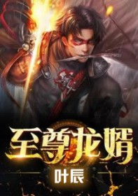 至尊龙婿叶辰